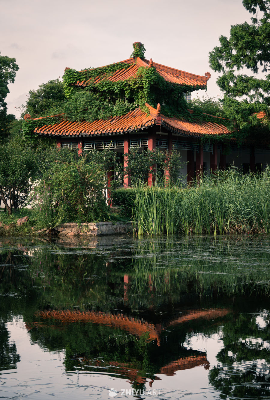 夕阳下的古塔