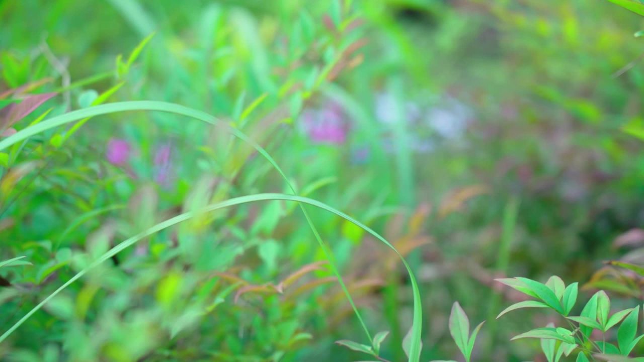 自然 2