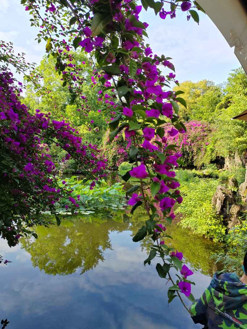 花条
