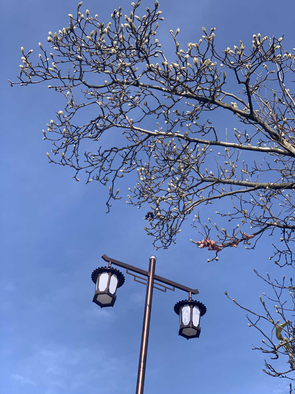 复古