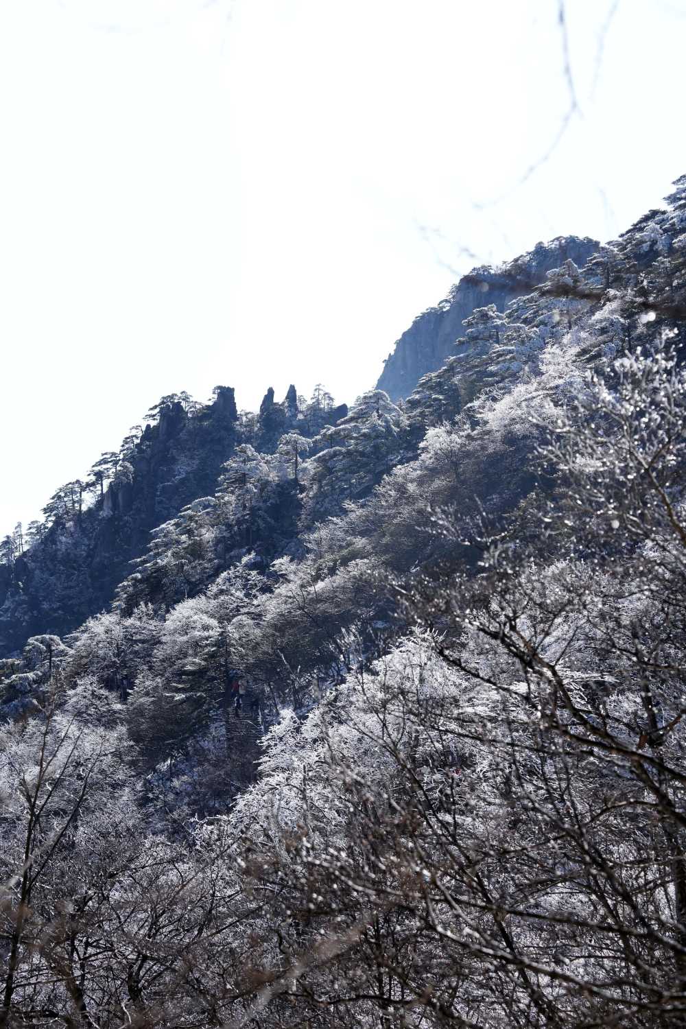 雪落黄山，雾凇云海——山篇