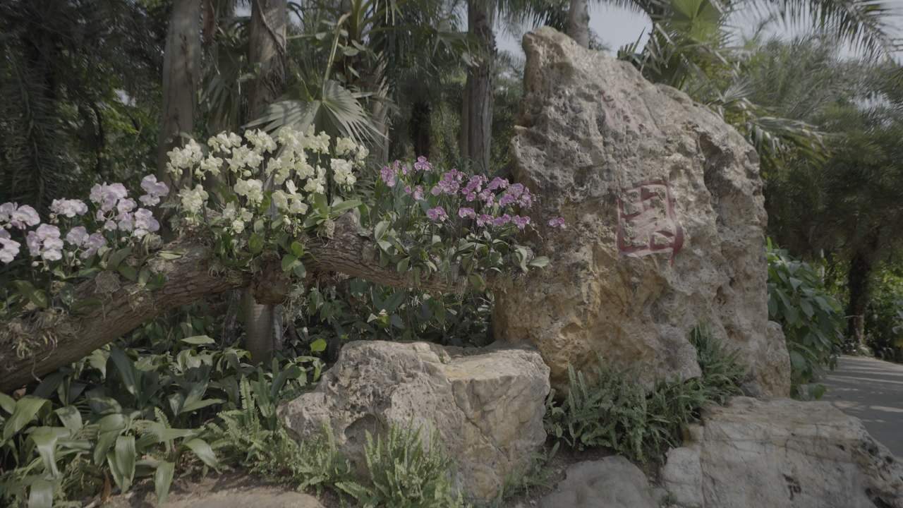 青秀山 10