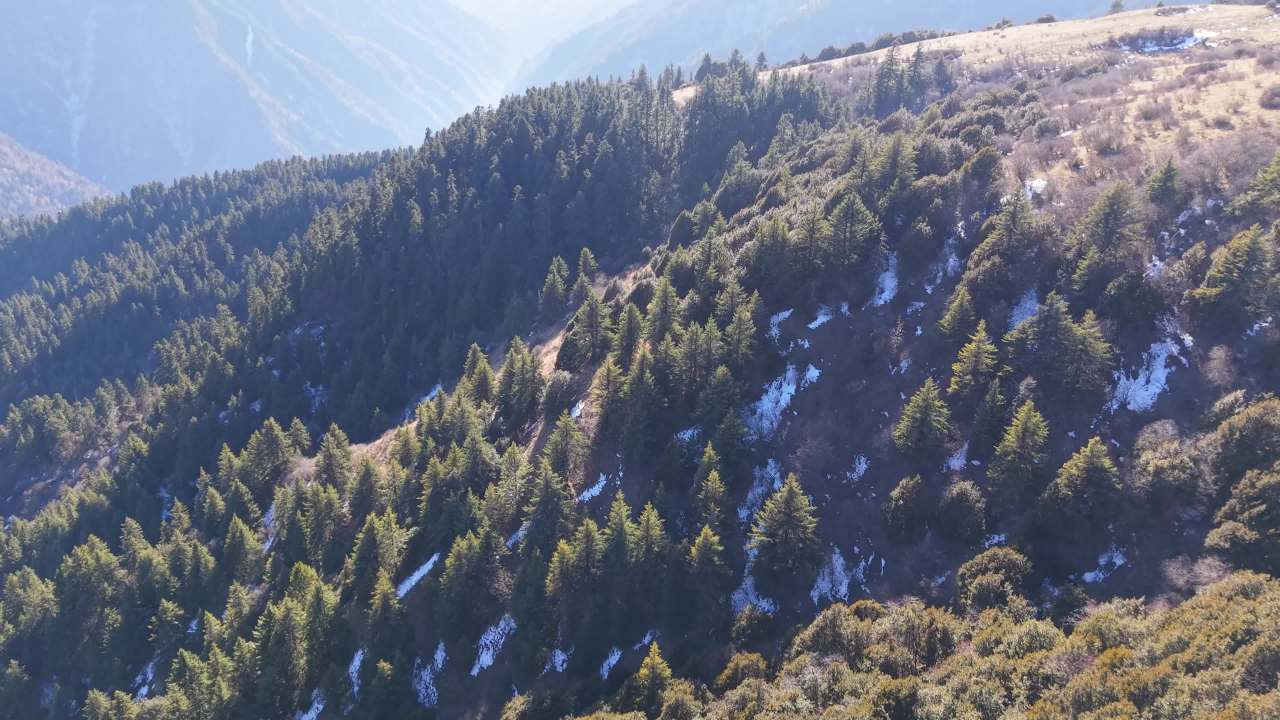 理县猛古雪山 2