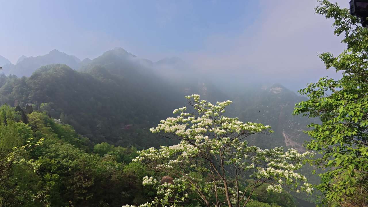 山间云雾缭绕