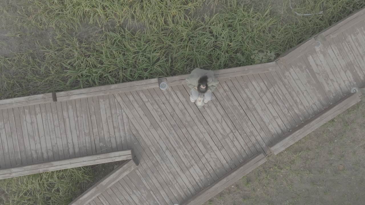 雾中蜿蜒木道