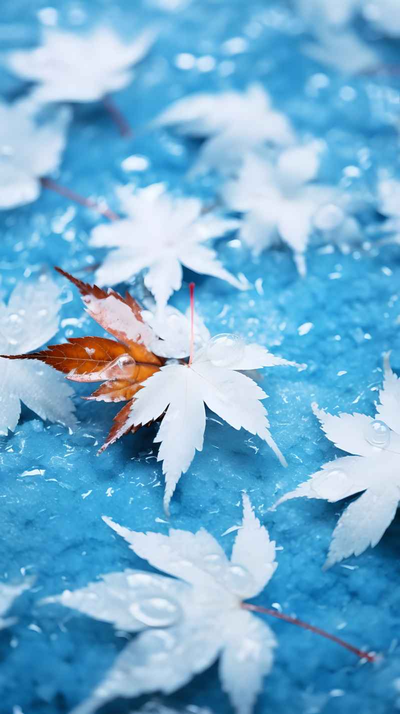 枫叶雪景冬季 9
