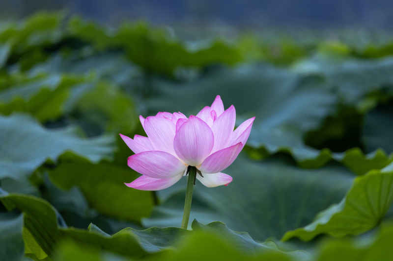 IMG_0408 拷贝