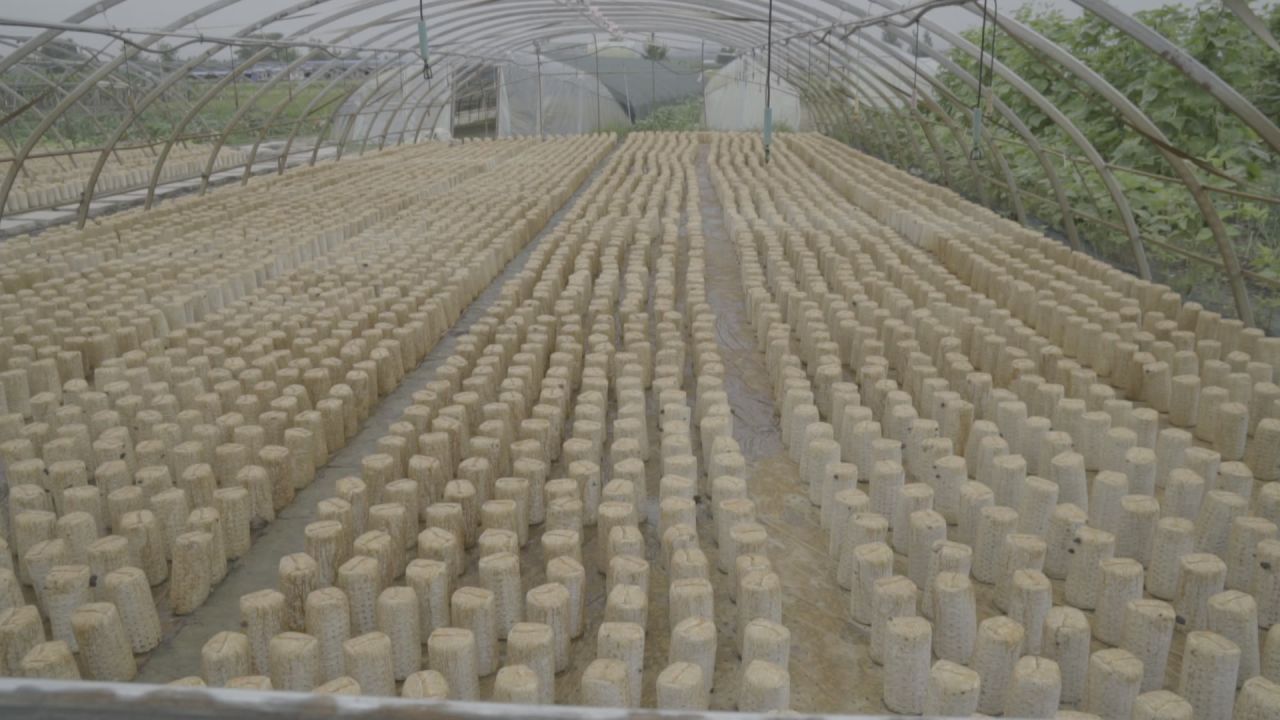 五常稻花香大米 19