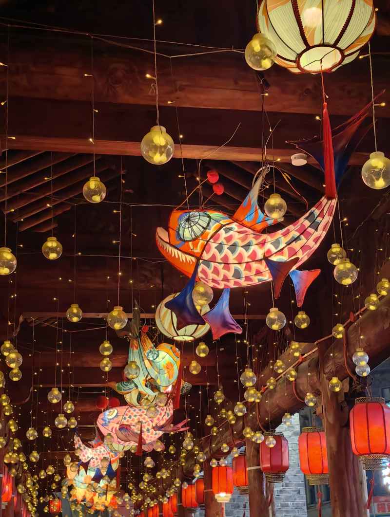 一夜鱼龙舞