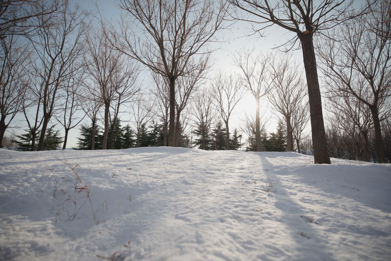 A_0004C417H251213_15261382_CANON