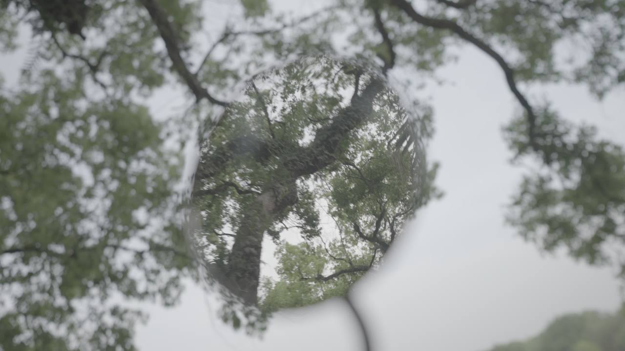 桂林 5