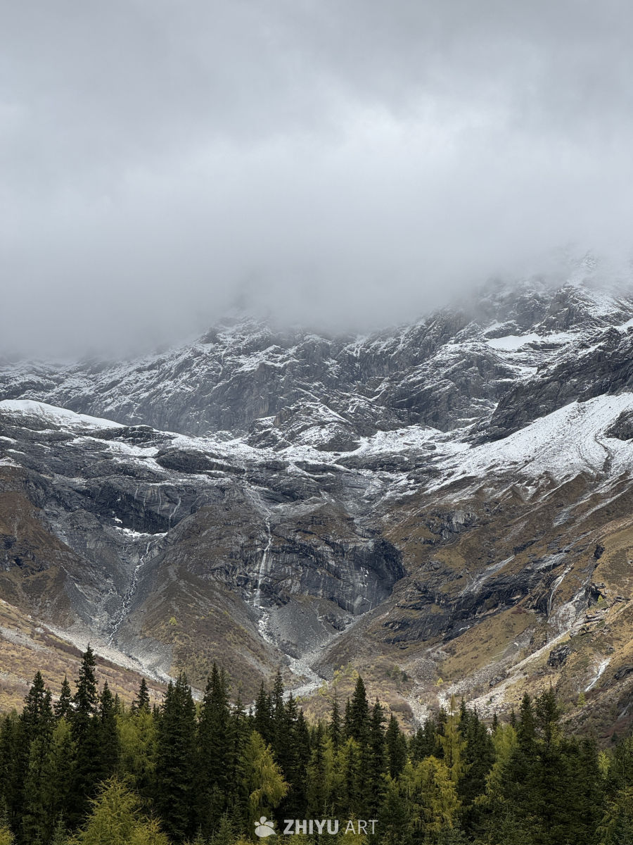 雪山云雾中的静谧森林