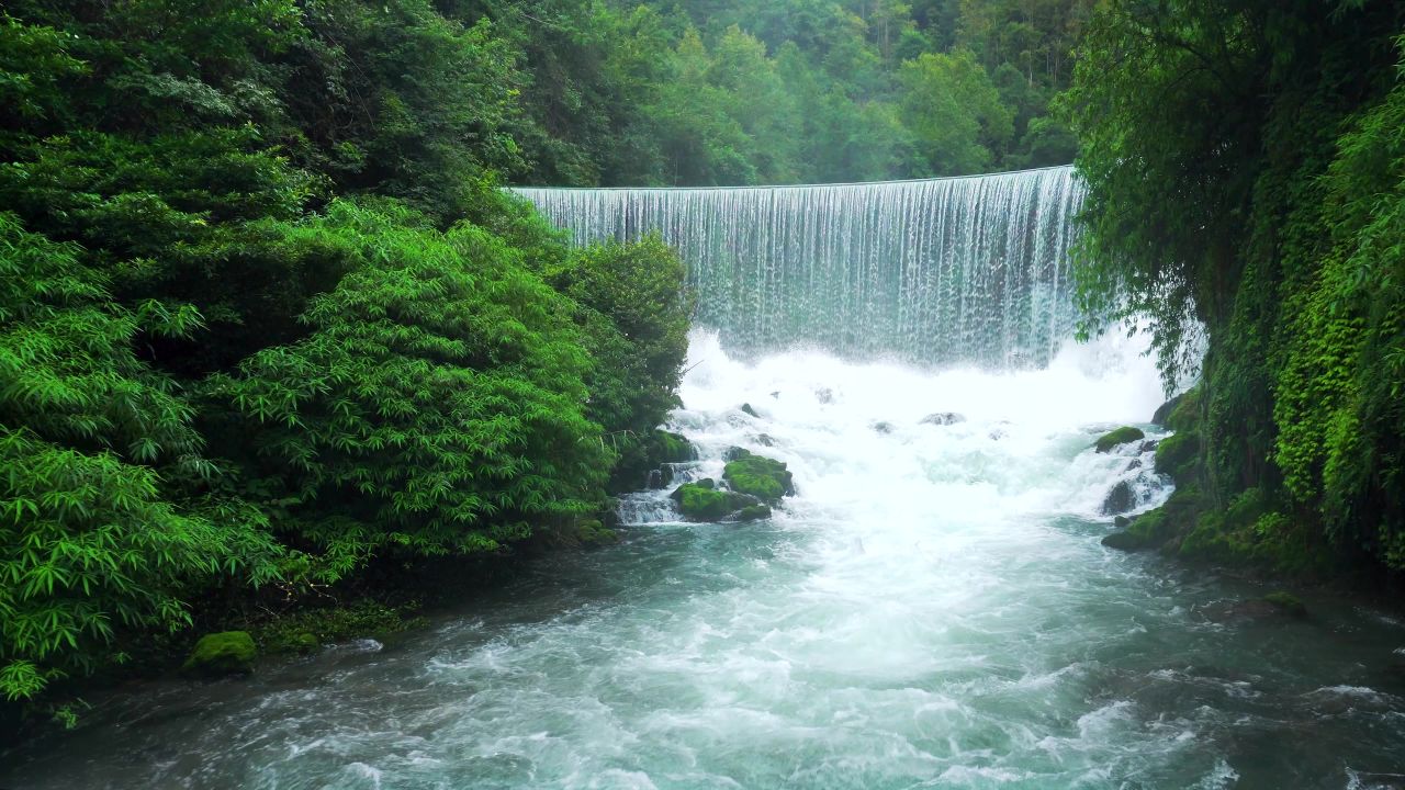 4K河流自然水流树木森林