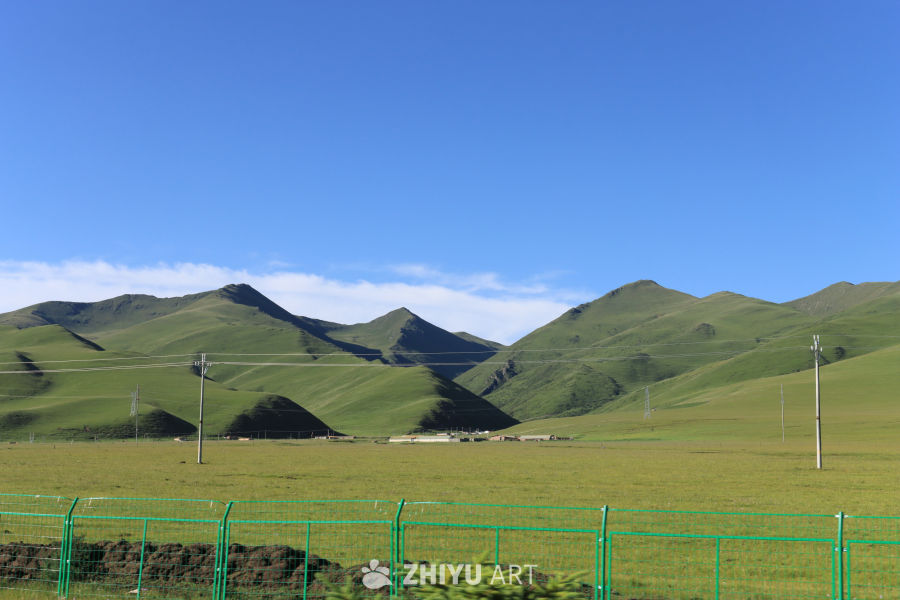 绿意盎然的高原草原