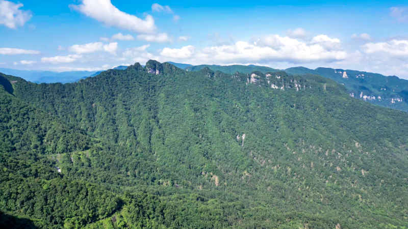 湖北神农架天燕景区 