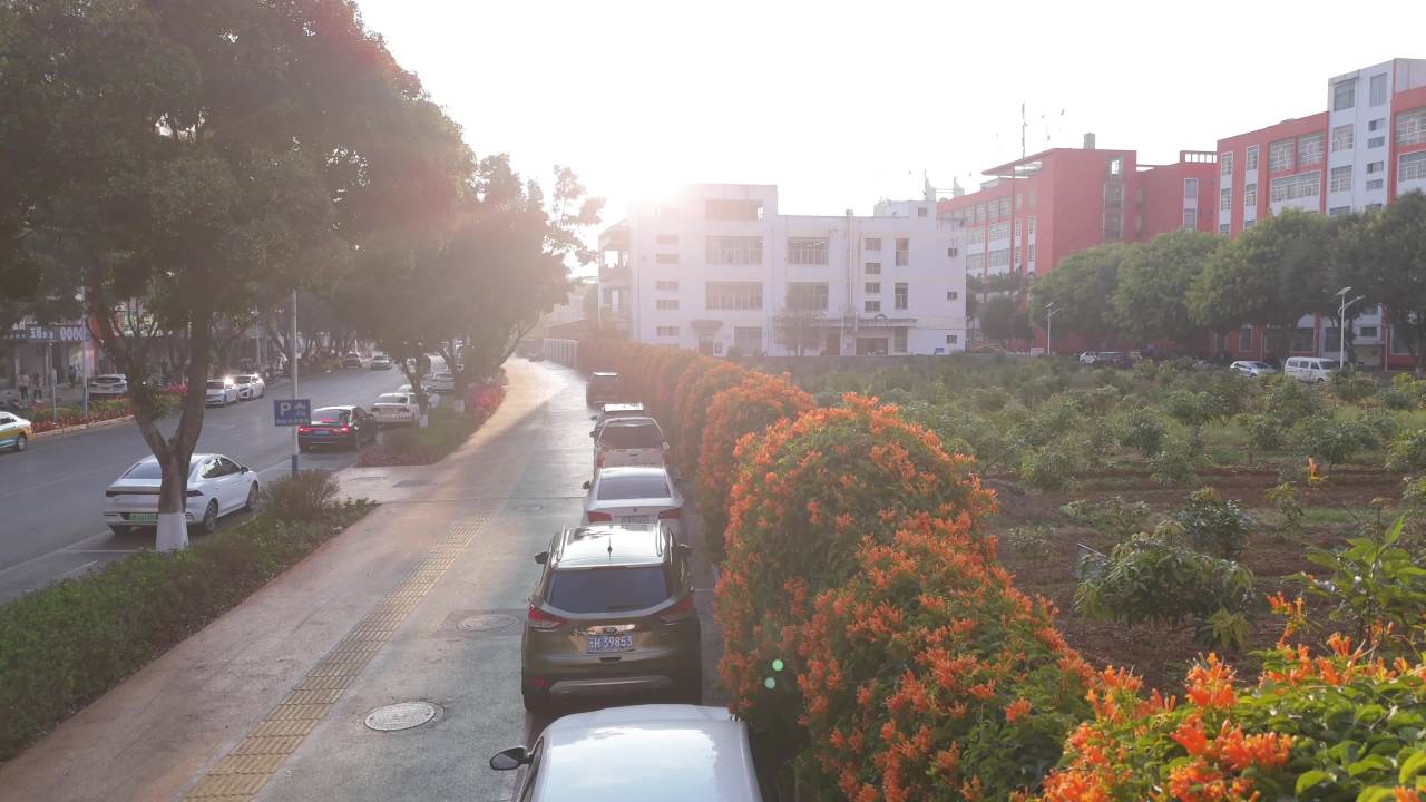 晨光中的城市街景