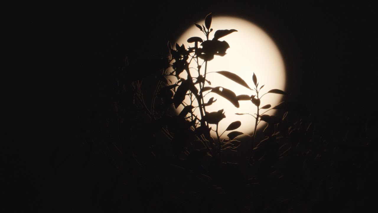 月亮月球夜晚天空皎洁明月长焦特写延时摄影 22
