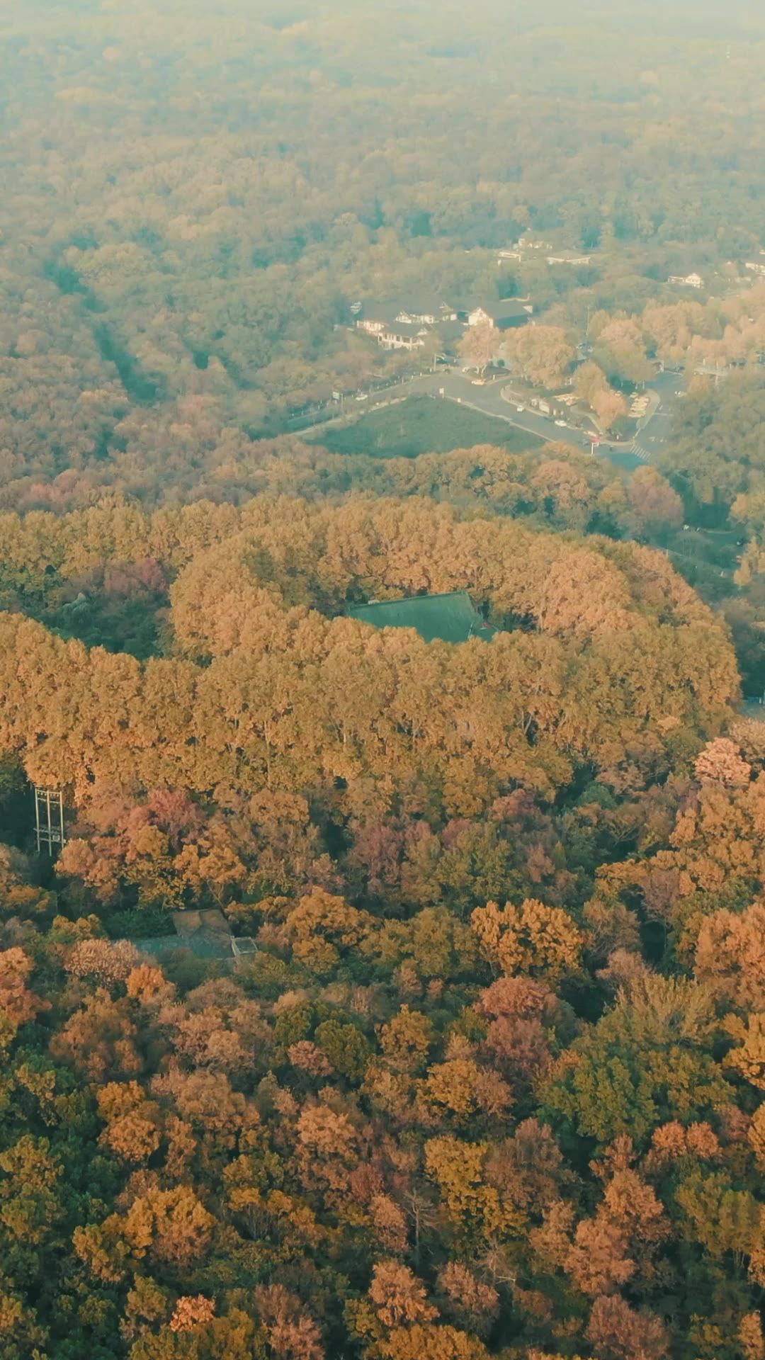 南京美龄宫秋天竖屏航拍