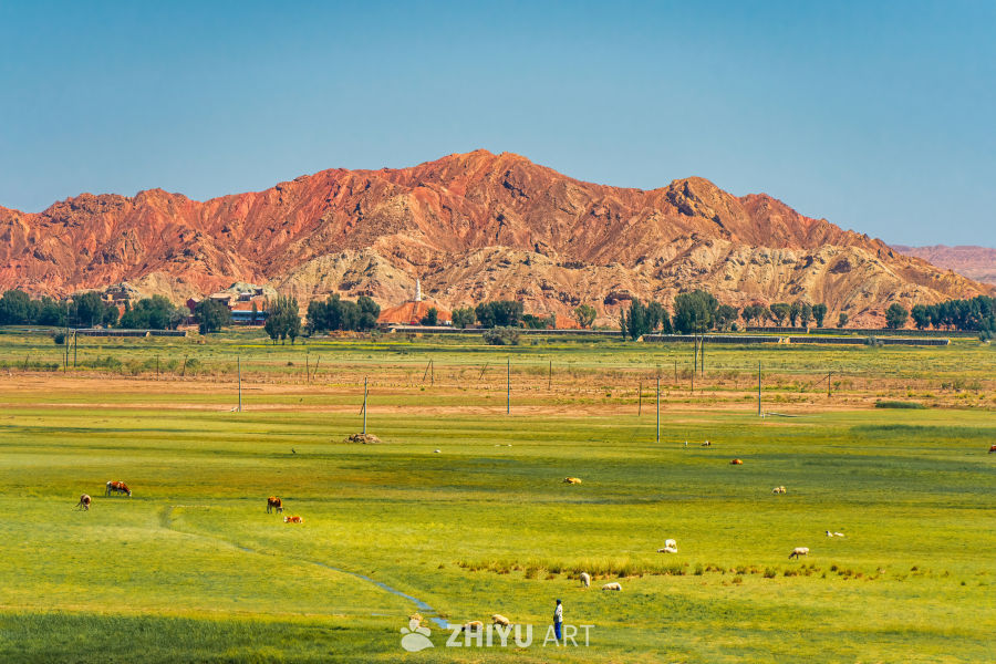 M3_01793 拷贝-DeNoiseAI-clear