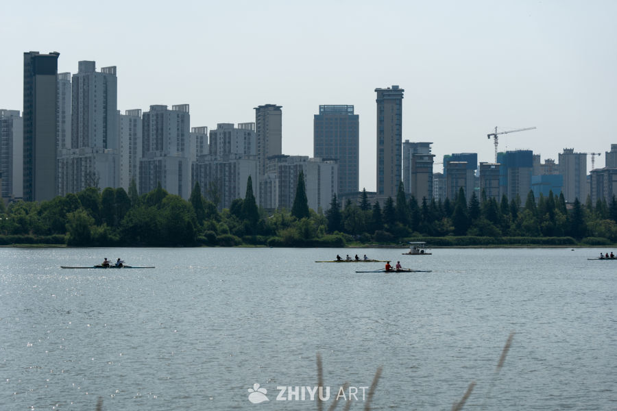 湿地公园一角 11
