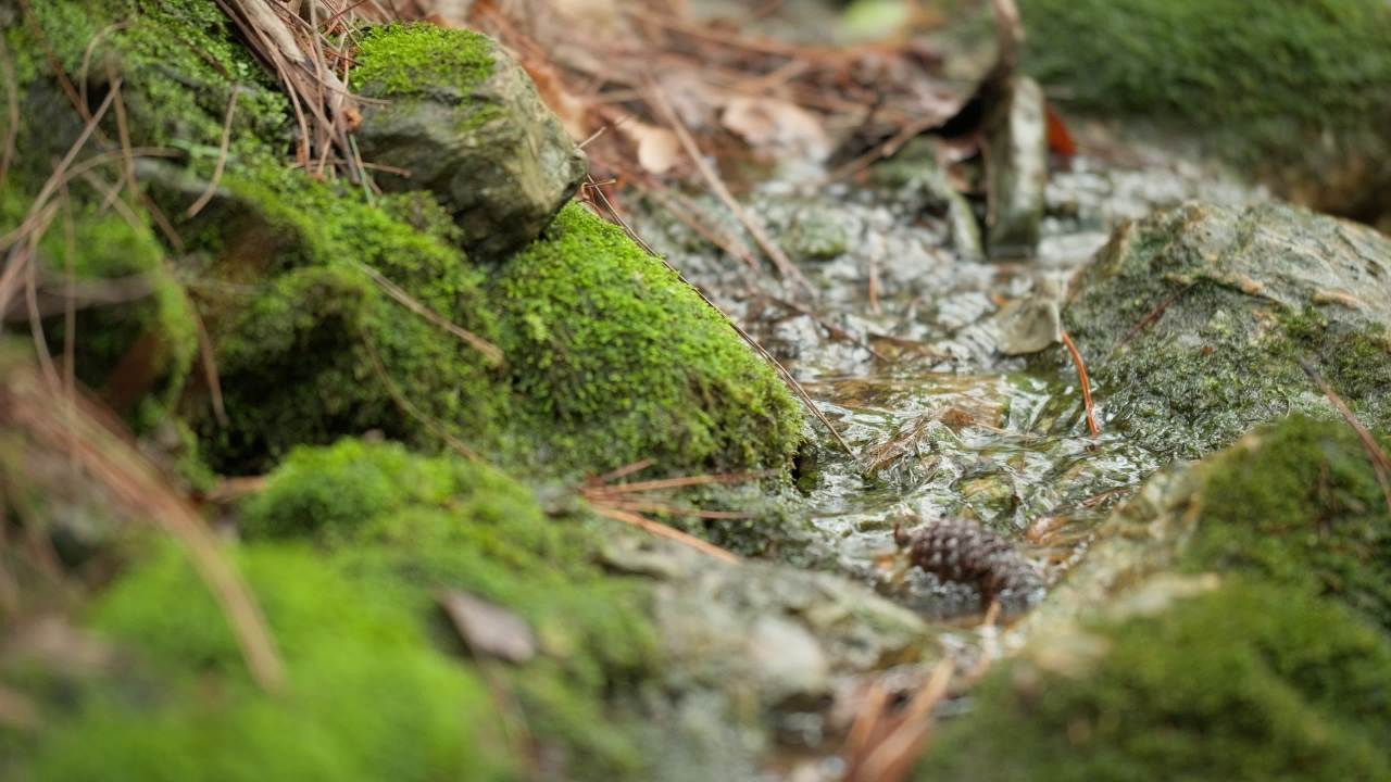 山泉水矿泉水潺潺小溪流水瀑布 9