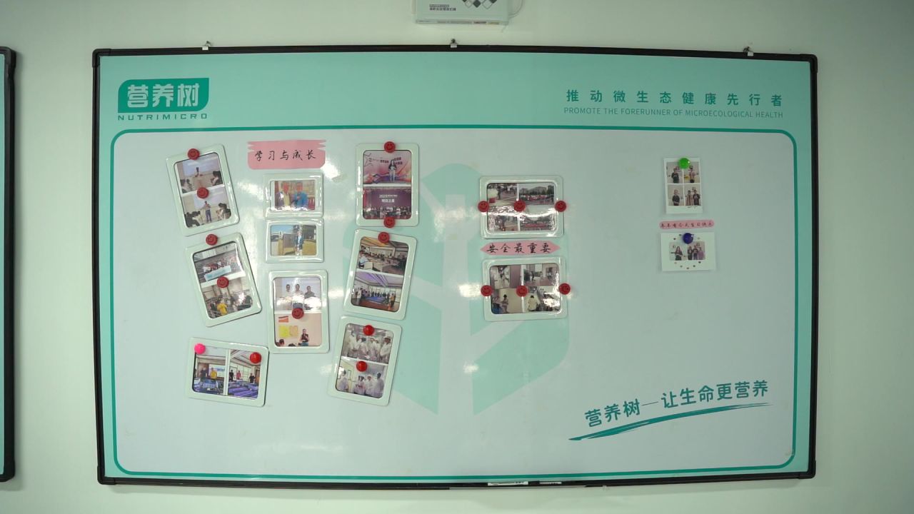 高楼 17