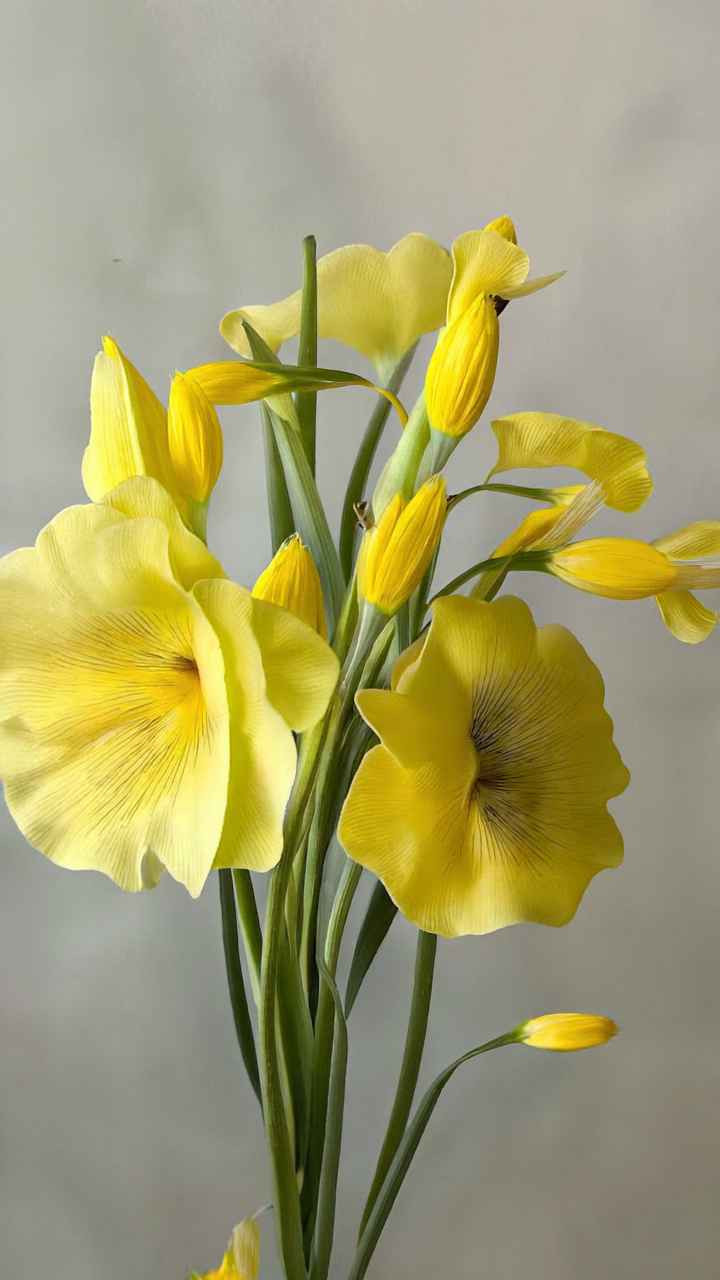 鲜花 1