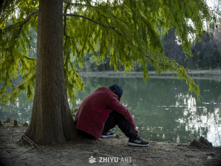 湖畔独坐，静思人生