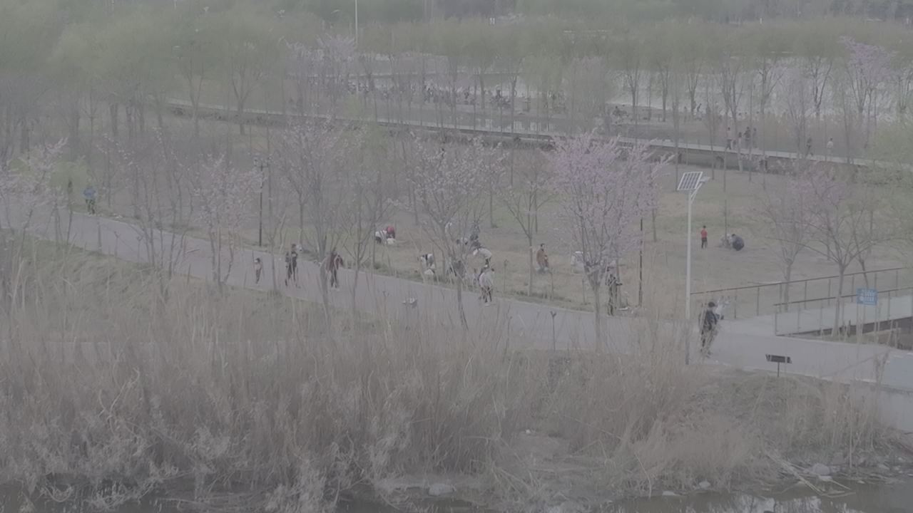 城市公园的春天