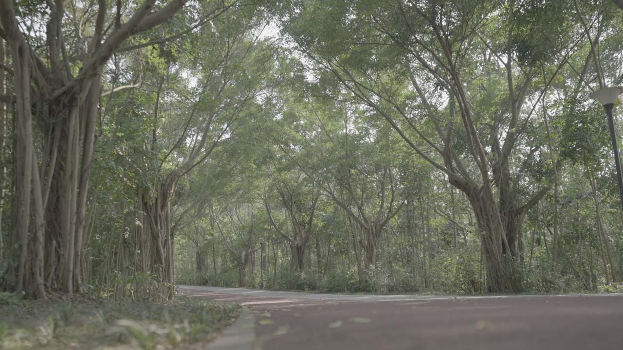 寺庙 5
