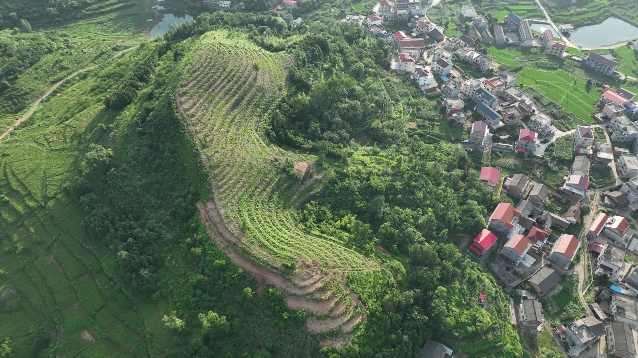 农村 25