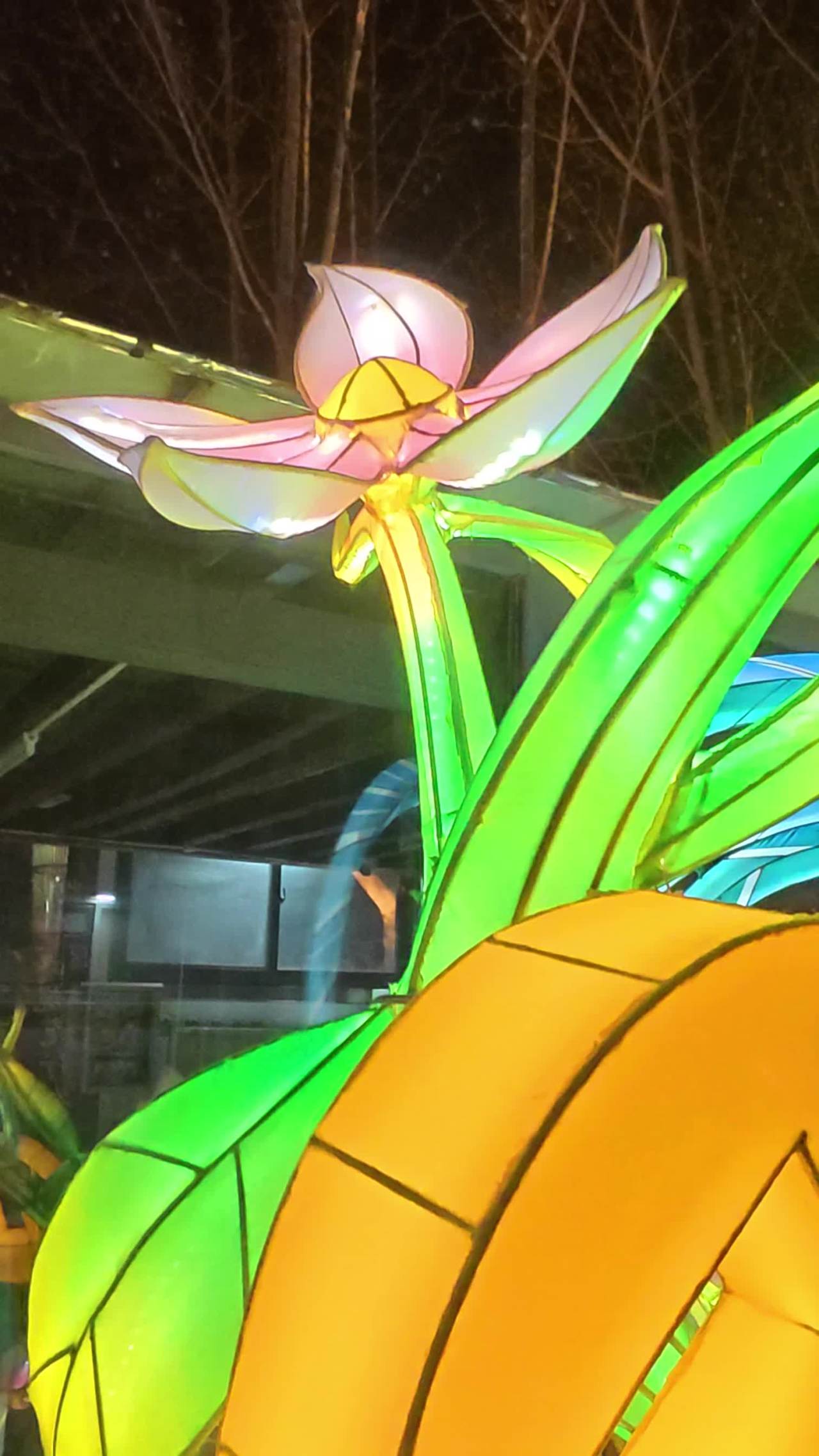 夜色中的灯笼