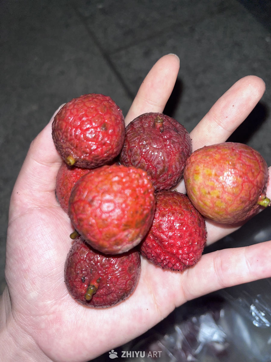 手捧鲜红荔枝