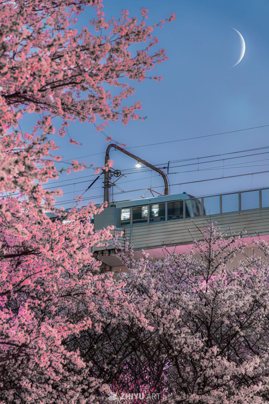 城市风光
