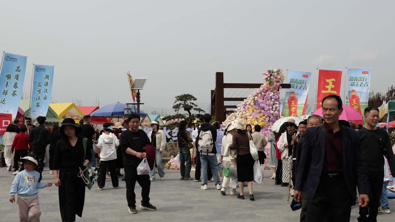 金色花海 22