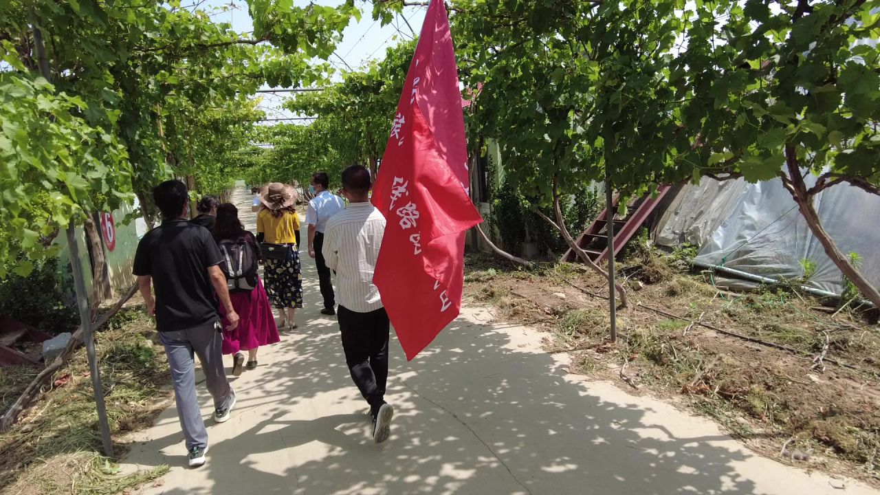 短视频创作者小城市乡村旅游活动记录素材