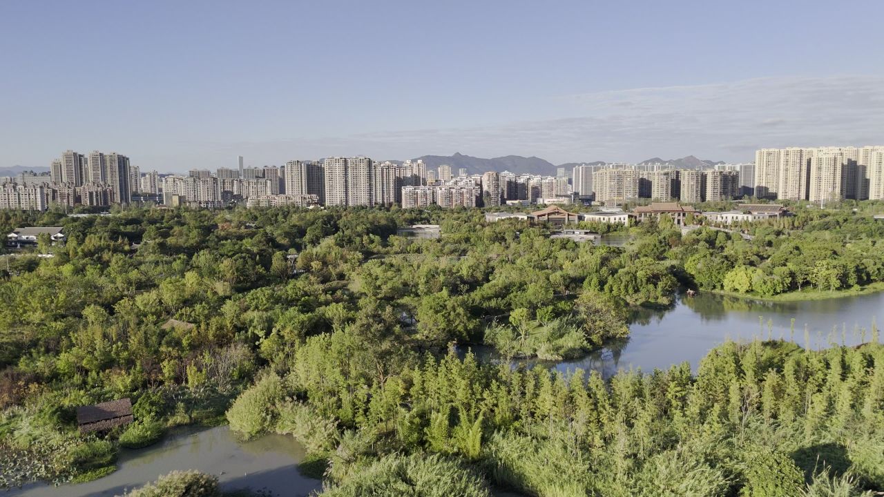 温州三垟湿地风光 20