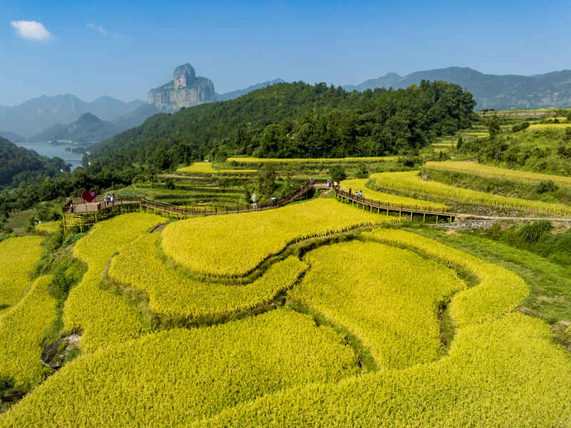 金秋十月 “丰”景如画 5