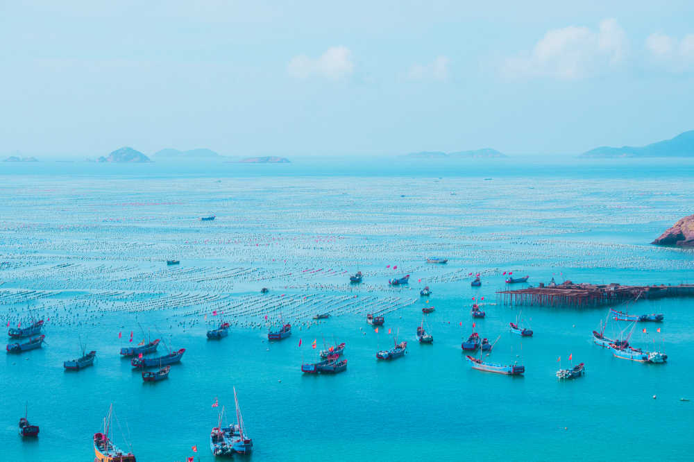 大海