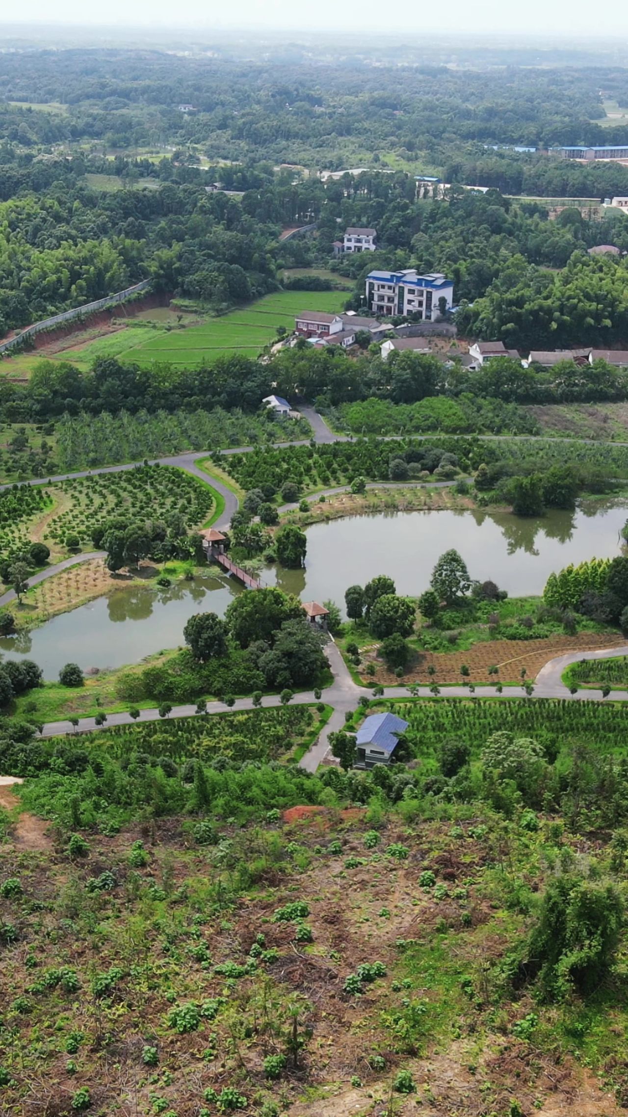 湖南汉寿植物园竖屏航拍