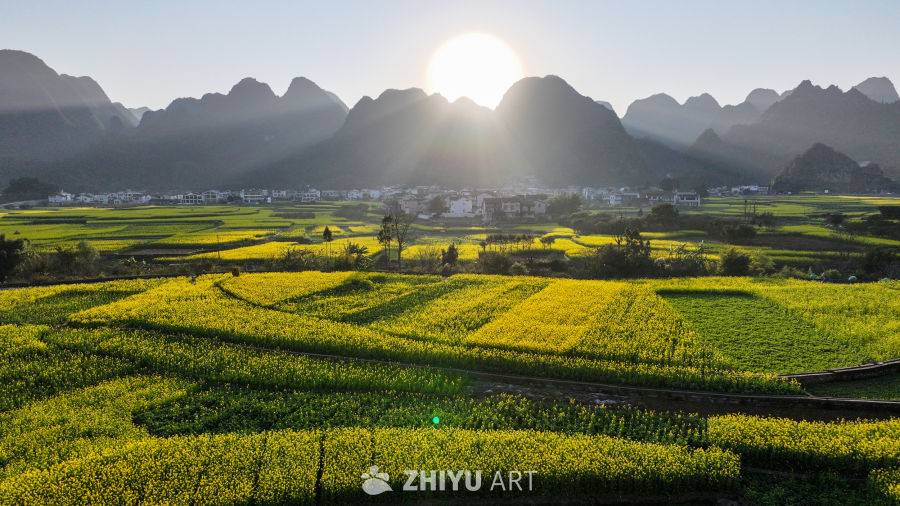 航拍贵州兴义万峰林油菜花开 22