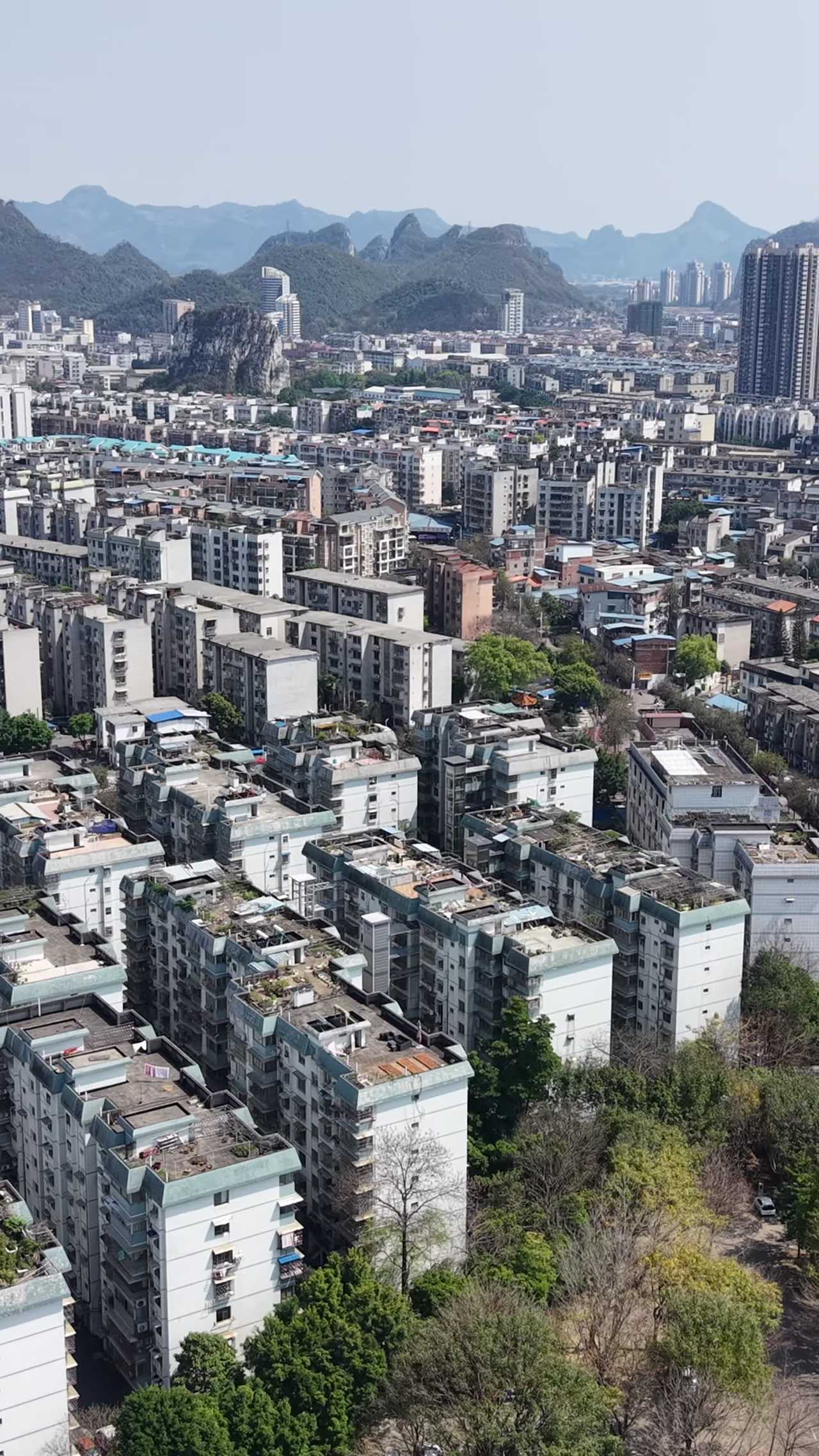 城市与自然的和谐共存