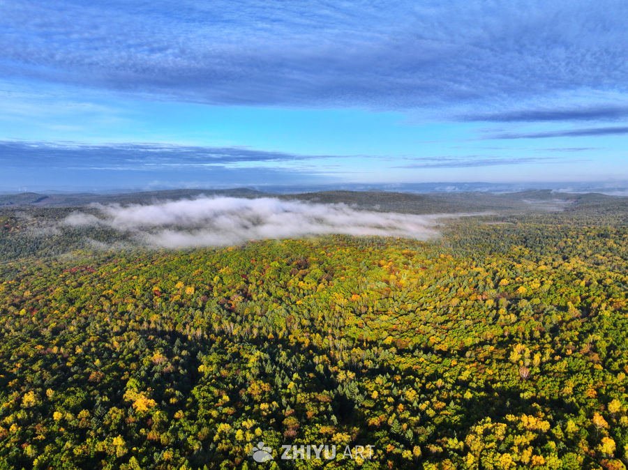 雾漫远山 山林织秋