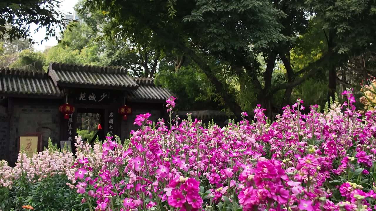 Citywalk之成都人民公园 1