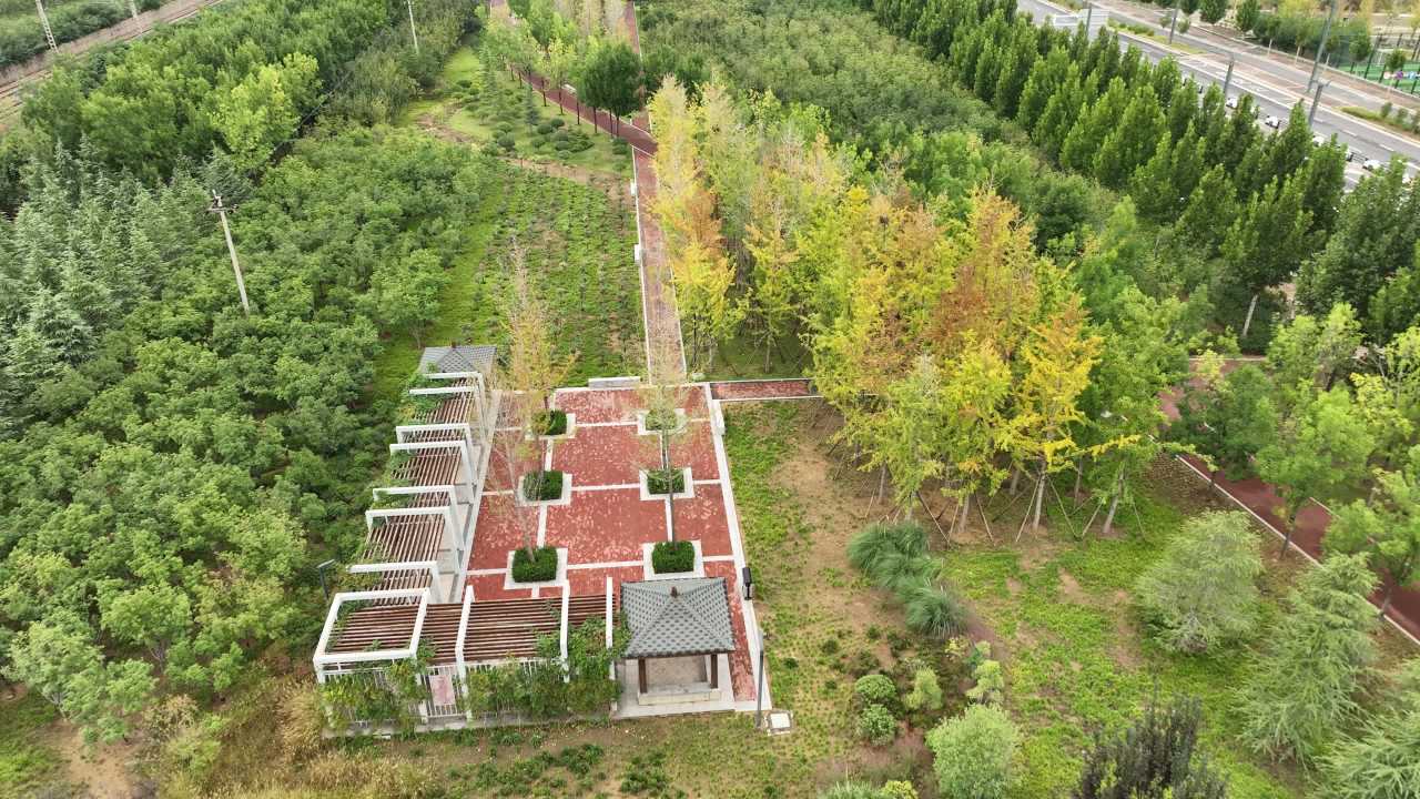 城市绿洲的空中视角