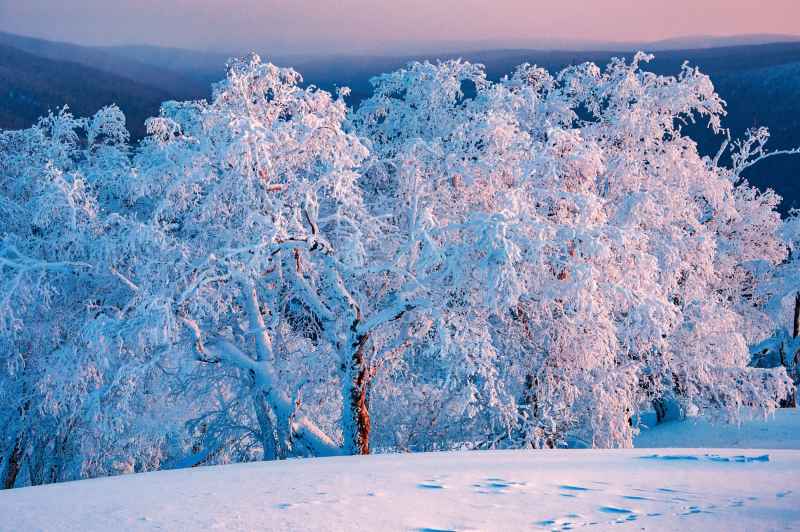 冰雪雾凇 3