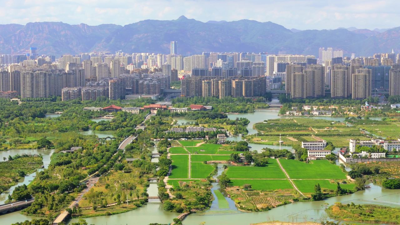 温州三垟湿地 9