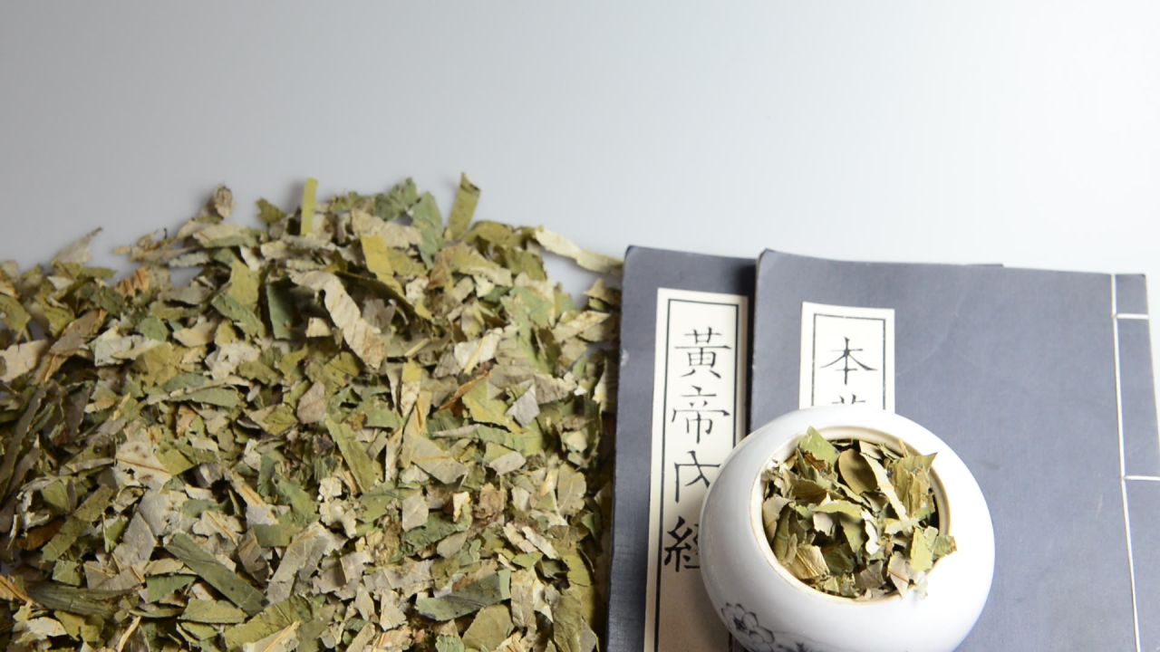 荷叶中药材 8