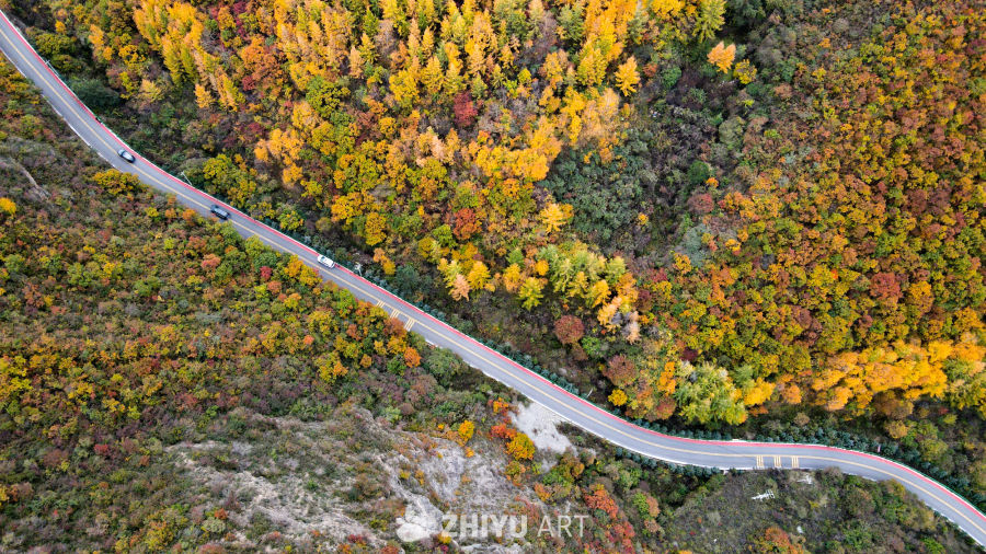 兰州七里河区云顶山秋景 11
