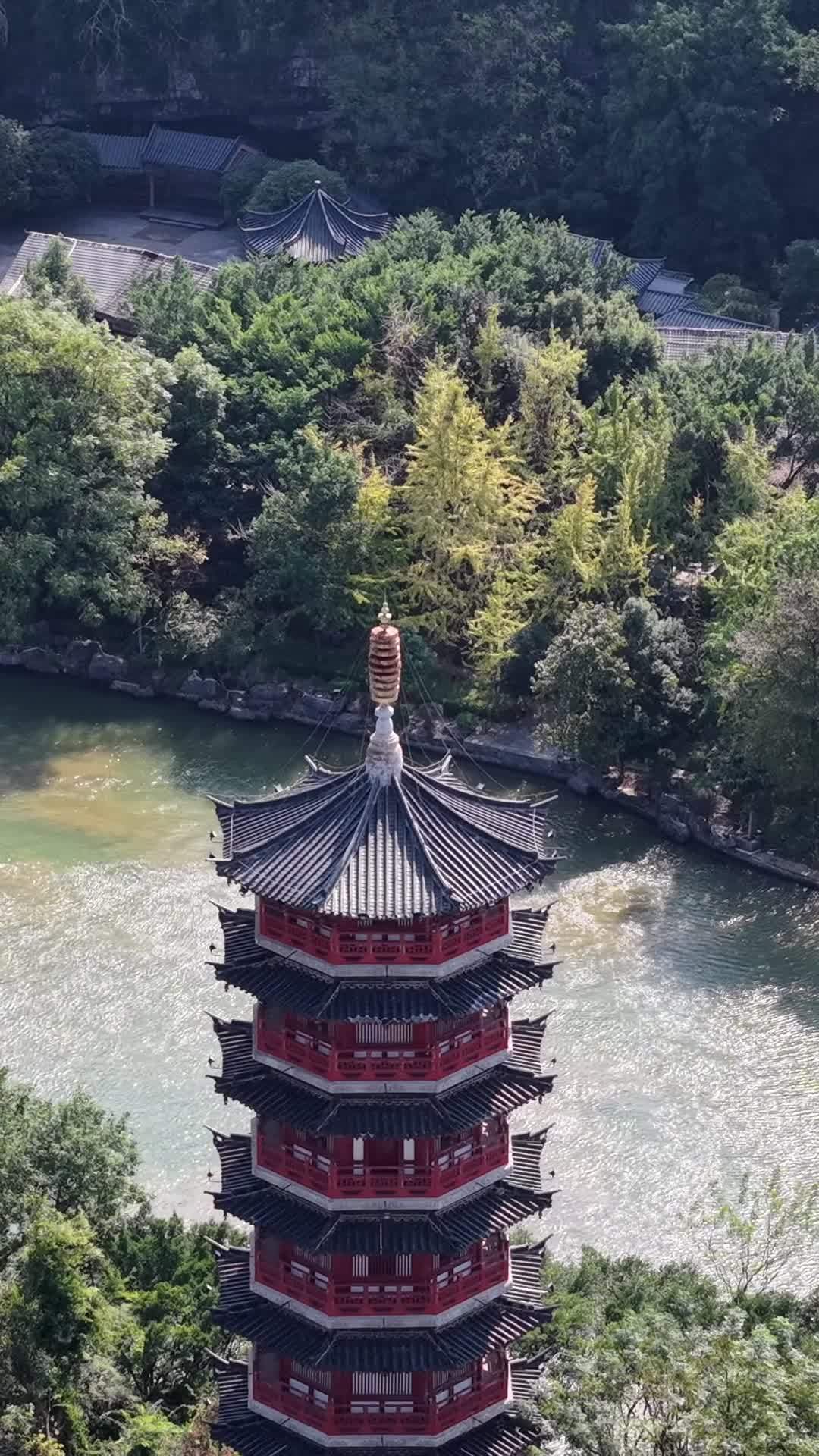 红塔静谧森林
